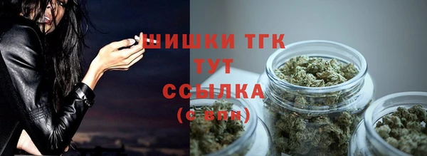 таблы Новозыбков
