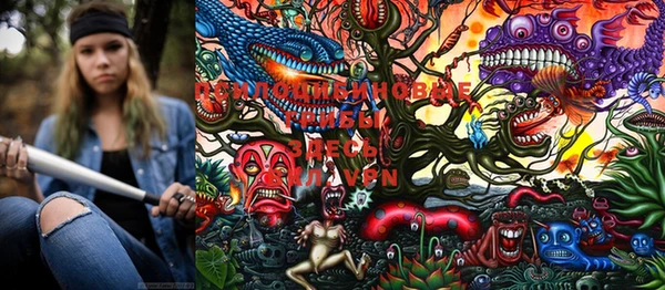 марки lsd Новодвинск