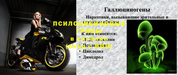 таблы Новозыбков