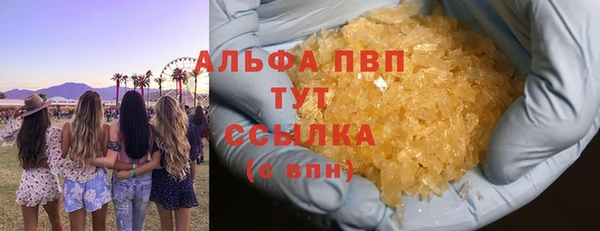 таблы Новозыбков