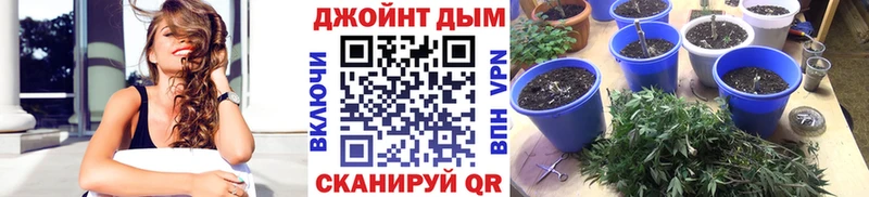 Канабис SATIVA & INDICA Светлогорск